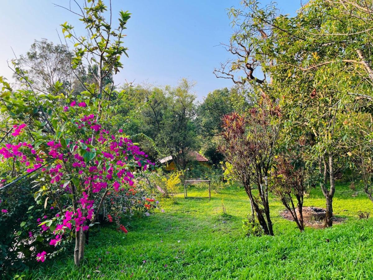 Coorg Daffodil Guesthouse Madikeri Ngoại thất bức ảnh